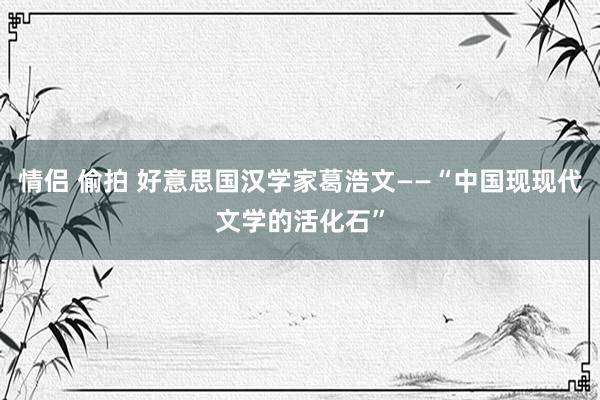 情侣 偷拍 好意思国汉学家葛浩文——“中国现现代文学的活化石”