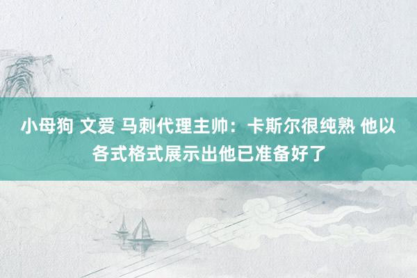 小母狗 文爱 马刺代理主帅：卡斯尔很纯熟 他以各式格式展示出他已准备好了